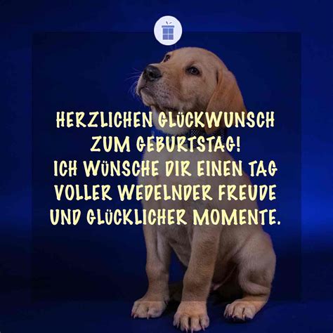 geburtstagswünsche hund